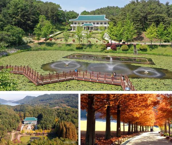 온라인 커뮤니티