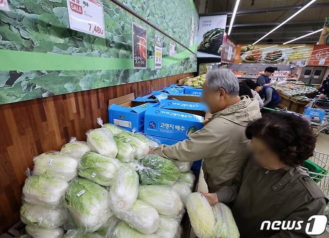 10일 오전 서울 시내 한 대형마트에서 고객이 배추를 고르고 있다. 2023.10.10/뉴스1 ⓒ News1 김진환 기자