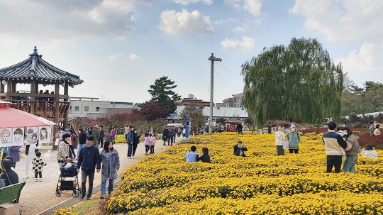 제23회 서산시국화축제 전경. 사진=서산시 제공