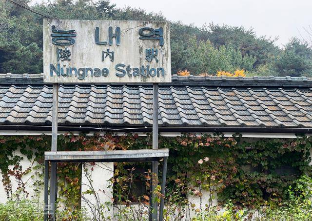 기차가 다니지 않는 능내역 외벽이 담쟁이넝쿨로 덮여 있다.