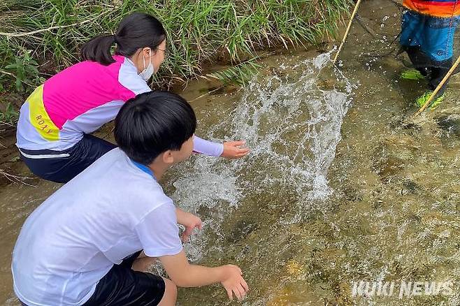 인제군 산골생태유학 프로그램(인제군 제공)