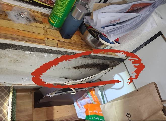 정의석 원스톱방역 대표가 고시원 방역 작업 중 찍은 사진. 빨간색 원 안에 빈대들이 모여 있다. [원스톱방역 제공]