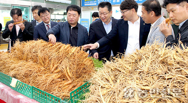 신인성 전북인삼농협 조합장(오른쪽 세번째)이 참석자들에게 전북인삼의 효과와 상태를 설명하고 있다.