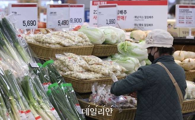 서울 시내 대형마트에서 고객들이 장을 보고 있는 모습. ⓒ뉴시스