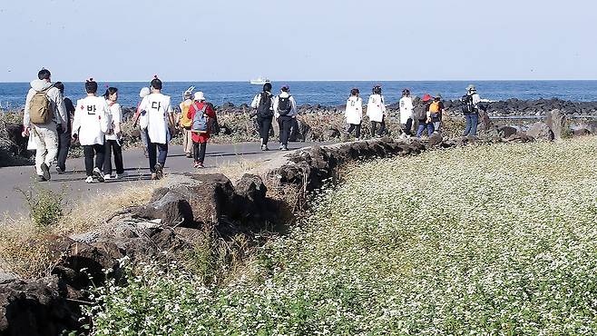 제주올레걷기축제 참가자들이 11코스 서귀포시 하모리 해안을 걷고 있다. 뉴스1