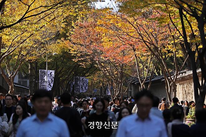 낮 기온이 25도까지 오른  2일 서울 중구 덕수궁 돌담길을 찾은 시민들이 따스한 가을 햇살로 빛나는 단풍 아래를 걷고 있다.