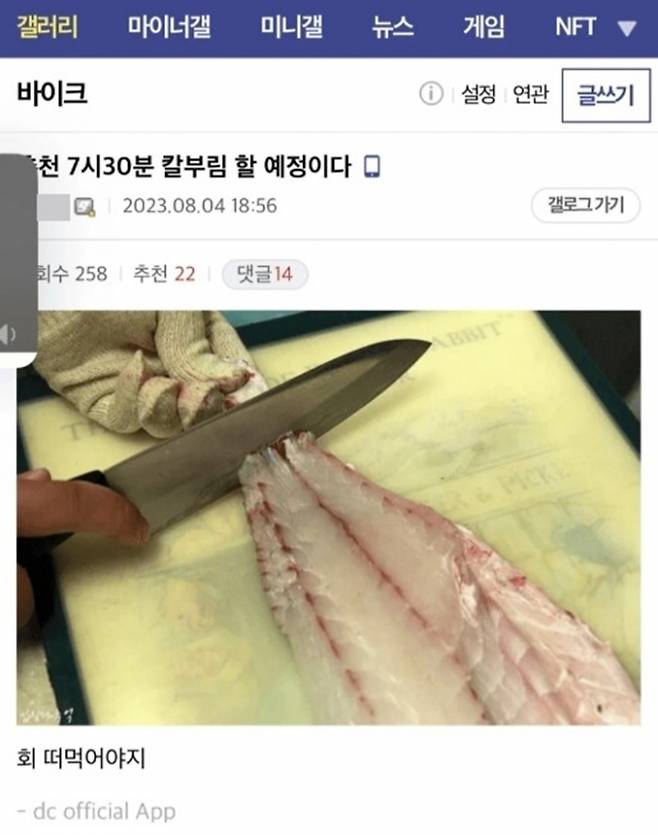 온라인 커뮤니티에 '춘천 흉기 난동' 예고 글을 올린 혐의로 기소돼 1심에서 징역형의 집행유예를 선고받은 20대 남성이 장난스러운 교도소 후기글을 올려 검찰이 항소를 결정했다. /사진='디시인사이드 바이크 갤러리' 캡처