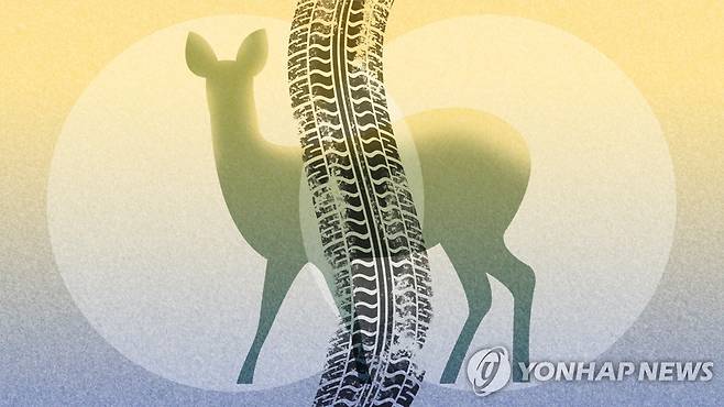 로드킬 - 고라니 (PG) [강민지 제작] 일러스트