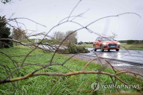 폭풍에 쓰러진 나무들 (AFP=연합뉴스) 폭풍 시아란이 프랑스 서북부를 강타하면서 강한 바람에 나무들이 곳곳에서 쓰러져 도로를 덮쳤다. 2023.11.02. photo@yna.co.kr