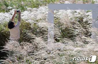 맑고 쾌청한 날씨를 보인 5일 서울 마포구 하늘공원에서 시민들이 사진을 찍고 있다. 2023.10.5/뉴스1 ⓒ News1 김민지 기자