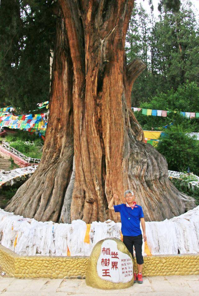 바지촌의 세계백수왕 나무 아래서 인증사진을 찍었다. ⓒ최종명