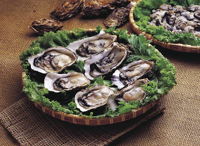 바다의 우유라 불리는 굴은 칼슘, 타우린, 철분 등이 풍부해 면역력을 높이고 기력을 회복하는 데 효과적이다./사진=클립아트코리아