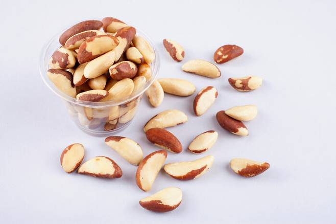 [사진=클립아트코리아]