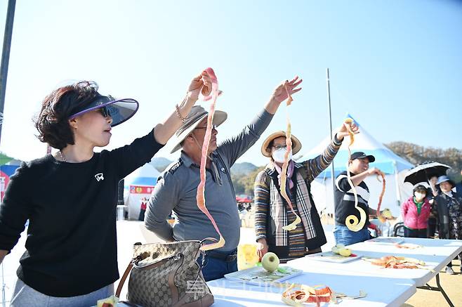 청송사과축제 사과 올림픽