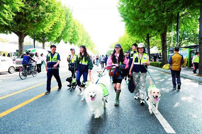 서울 강동구 반려견 순찰대가 주민들에게 호응을 얻고 있다. 사진은 지난 달 29일  순찰 모습.(사진제공=강동구청)