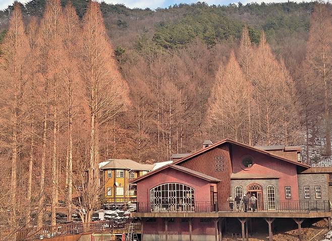 ‘그해 우리는’ 촬영지 온빛자연휴양림