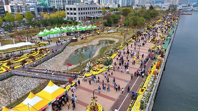 제23회 마산국화축제 행사장 전경 [창원시 제공. 재판매 및 DB 금지]