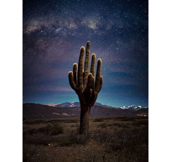 달빛 아래 시리즈(SER*ES-LUNATICO) Jose Pereyra Lucena, Argentina