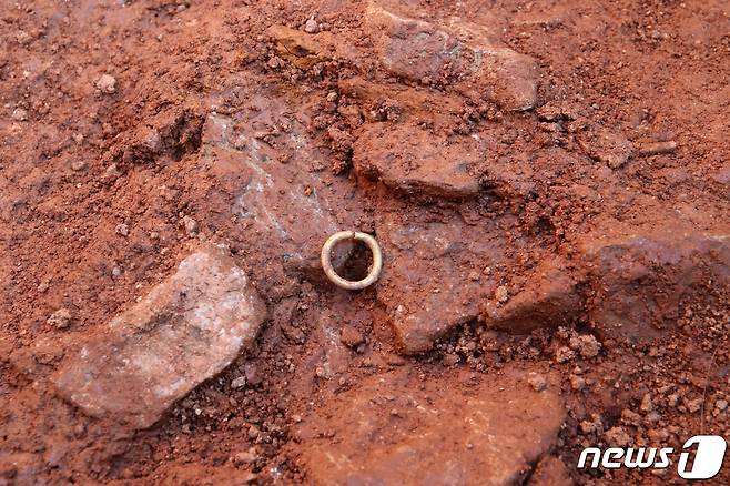 전북 고창군이 마한시대의 무덤인 ‘고창 봉덕리 봉덕고분’ 발굴과 관련해 7일 현장을 공개했다. 무덤에서 발굴된 금동귀거리(고창군 제공)2023.11.7/뉴스1