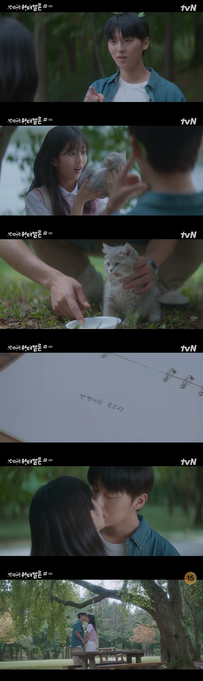 tvN '반짝이는 워터멜론' 캡처