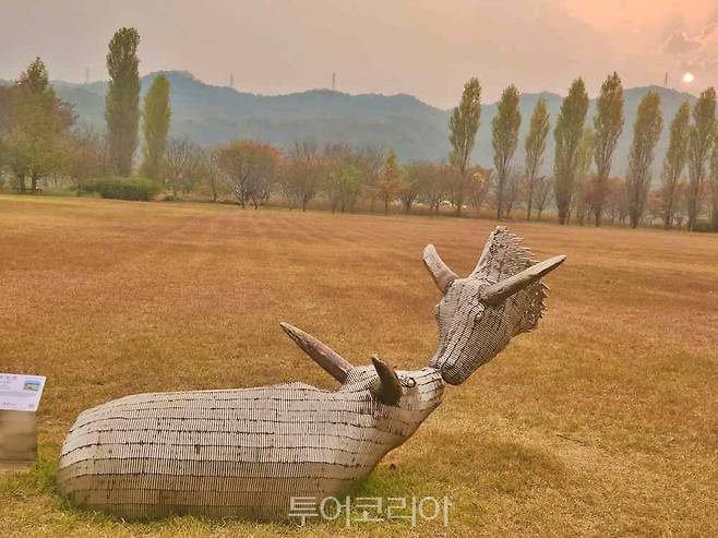 정원경 작가의 '나를보다'