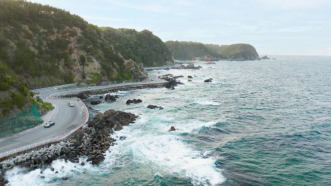 동해와 어깨를 나란히 하고 드라이브를 즐길 수 있는 '헌화로'를 달리다보면 '헌화가'의 배경 설화가 떠오른다. / 임화승 영상미디어 기자