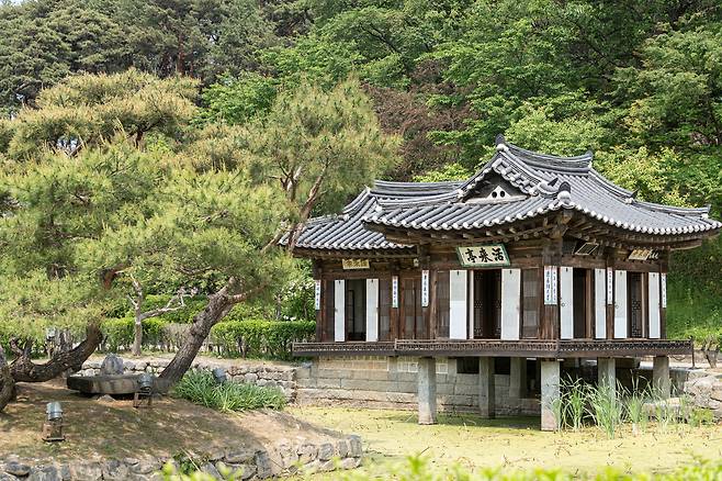 풍류와 접빈객에 쓰이던 300여 년 전통의 강릉 선교장 '활래정'. 5월에 들어서자 싱그러운 초록빛 옷으로 갈아 입었다. / 임화승 영상미디어 기자