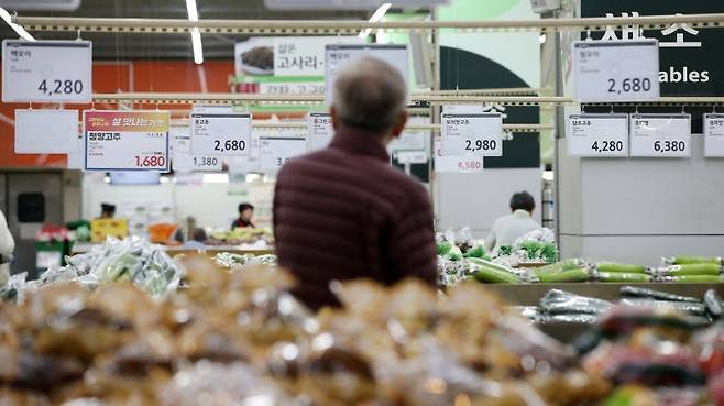 최근 물가 상승에 정부가 농림축산식품부와 해양수산부에 태스크포스(TF)를 가동하는 등 밀착관리를 추진한다. 7일 서울 서초구 하나로마트 양재점을 찾은 시민들이 장을 보고 있다. 사진=뉴스1