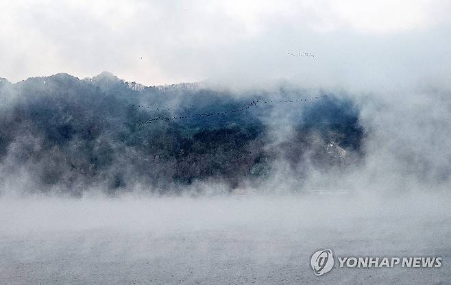 입동 추위 매섭네 (춘천=연합뉴스) 양지웅 기자 = 절기상 겨울의 시작을 알리는 입동인 8일 강원 춘천시 의암호에 짙은 물안개가 피어오르고 있다. 기상청에 따르면 이날 전국 곳곳의 아침 최저 기온이 올가을 들어 가장 낮아 추웠다. 2023.11.8 yangdoo@yna.co.kr