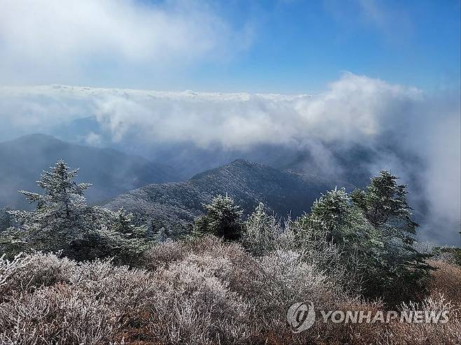 상고대 핀 지리산 반야봉 (구례=연합뉴스) 7일 전남 구례군 지리산국립공원 반야봉 일원에 상고대가 피어있다. 2023.11.7 [지리산국립공원 관리사무소 제공. 재판매 및 DB 금지] iny@yna.co.kr