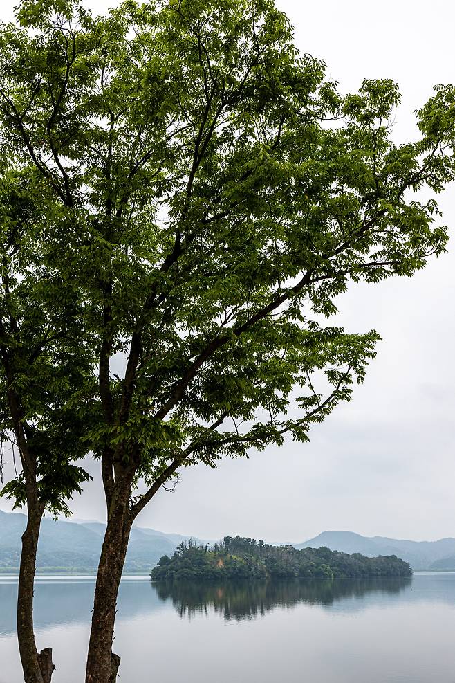 다산의 '희작소계도'에서 '남자주'라고 했던 곳은 지금의 '족자섬'이다. 팔당댐 완공 후 주변이 수몰되면서 윗부분만 조금 남아 있다. 상수원보호구역으로 지금은 가볼 수 없다. 두물머리길을 따라 걸으며 먼발치에서 보는 것으로 만족해야한다. / 이신영 영상미디어 기자