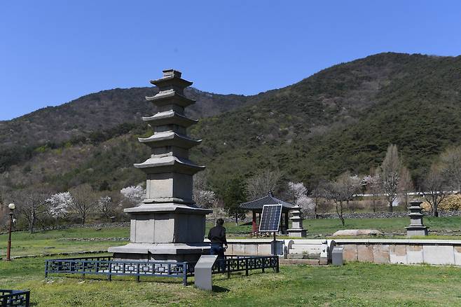 충남 보령 성주사지 오층석탑(보물 제19호). 지난 6일 한 관람객이 무단으로 침입하는 시연을 했더니, 곧바로 경고 방송이 나왔다. /문화재청