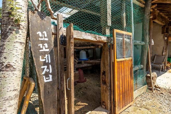 예능 '삼시세끼' 현실판 숙소같은 '산청 고요'엔 '꼬꼬네집'이라는 닭장도 있다. 전국 각지에서 입양한 닭들이 자란다. / 이신영 영상미디어 기자