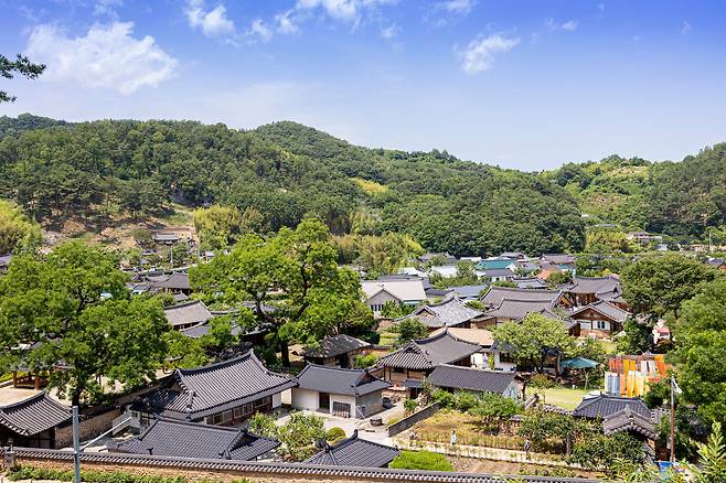 '한국의 아름다운 마을 1호'인 '남사예담촌'. '선비의 나무'라 불리는 수령 300년 이상의 회화나무가 집과 골목 지키고 있다. 마을 맞은편 남학정 전망대에서 바라본 풍경은 평온하기만 하다. / 이신영 영상미디어 기자