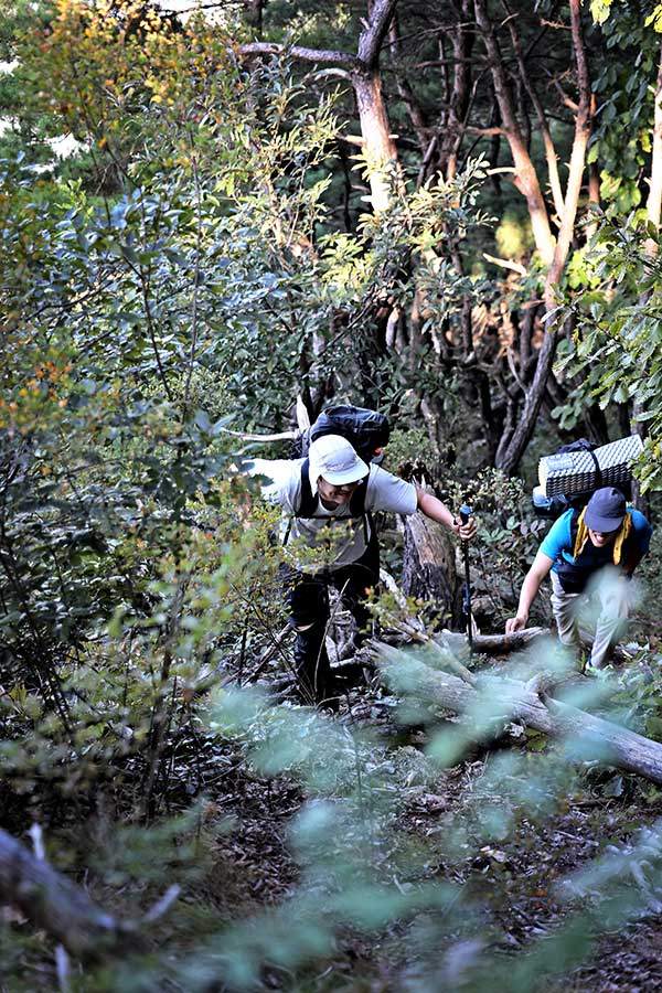지도를 보고&nbsp;부릉산까지 가보고자 했다. 하지만 등산로가&nbsp;없고, 길이 가팔라 얼마 못 가 발길을 돌렸다.