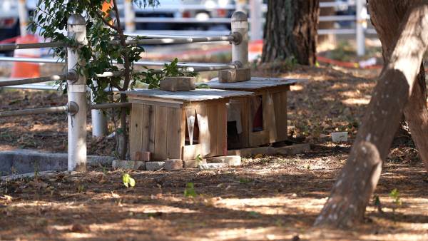 을숙도에 설치된 ‘고양이 급식소’. 2016년 부산동물학대방지연합이 철새와의 공존을 취지로 설치했다. 사진=오미래PD