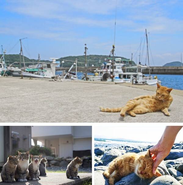 온라인 커뮤니티