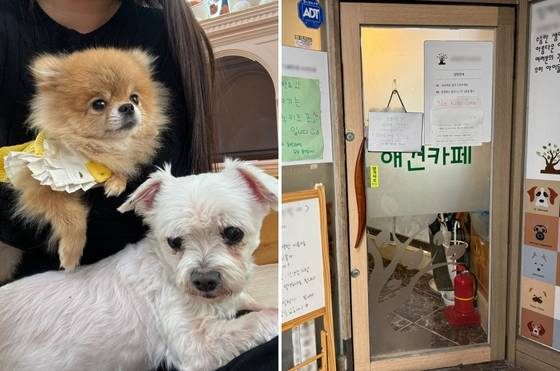강아지 두유와 연시가 취재진 품에 안겨 있다. 오른쪽은 유기견 애견 카페 입구 모습. 〈사진=한류경 기자〉