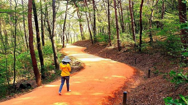 해가 떠 있는 시간에 충분하게 움직여 에너지를 소비하는 것이 잘 잘 수 있는 첫 번째 걸음이다. 영광군 제공