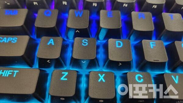 질감이 나쁘지 않다 [사진 곽도훈 기자]