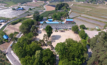 봉화군 물야초등학교 학교숲 전경. [사진=경북도청]