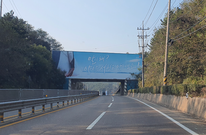 양양에서 서핑도 안 해보면 말이 안 되지!