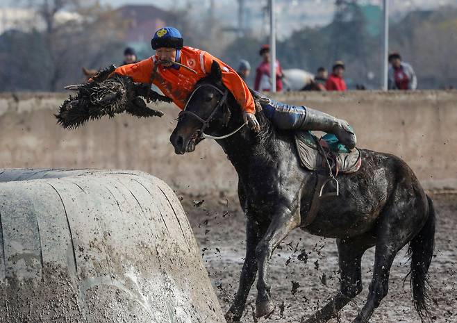 11일 키르기스스탄 비슈케크에서 열린 콕보루 전국 선수권대회에서 한 선수가 염소 사체를 상대팀 골대에 던져 넣으며  득점을 올리고 있다./로이터 연합뉴스