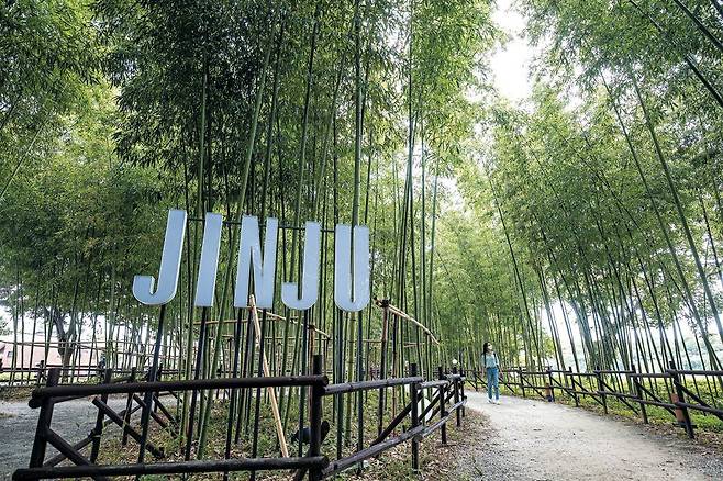 시원한 바람이 부는 남가람공원의 대나무숲 산책로. 대나무잎 사이로 촉석루와 진주성이 보인다. /김종연 영상미디어 기자