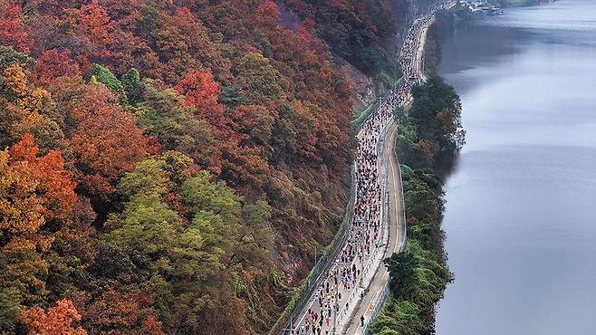 "가을엔 춘천마라톤… 단풍의 노래 들으며 1만8000명이 달렸습니다" 춘천 시민 협조에 감사드립니다 - 청명한 가을 날씨 속에 단풍으로 물든 호반(湖畔)의 도시 춘천 거리를 1만8000여 명이 달렸다. 29일 열린 2023 조선일보 춘천마라톤(조선일보사·스포츠조선·대한육상연맹 공동 주최)에서 참가자들이 의암호 주변을 지나는 모습. 기록은 천차만별이었지만 결승선을 통과하는 사람들 표정은 해냈다는 성취감으로 충만했다. /오종찬 기자