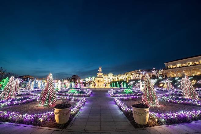 이국적인 정원에서 매일 밤 빛 축제가 열리는 파주 ‘퍼스트가든’. 자동차극장도 인기다. /파주시
