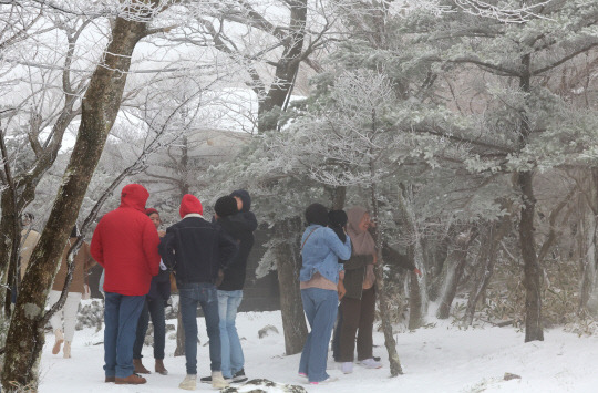 대설주의보가 해제된 13일 오전 제주 한라산국립공원을 찾은 동남아 관광객들이 겨울 정취를 만끽하고 있다. [제주=연합뉴스]