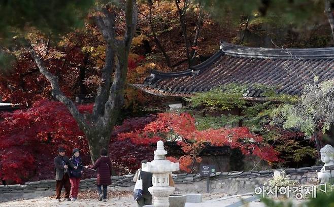 서울 성북구 길상사를 찾은 시민들이 단풍을 바라보며 늦가을 정취를 만끽하고 있다./김현민 기자 kimhyun81@