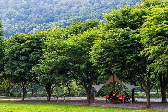 곡운구곡 제8곡 ‘융의연’을 끼고 있는 ‘러브팜캠핑장’./양수열 영상미디어 기자