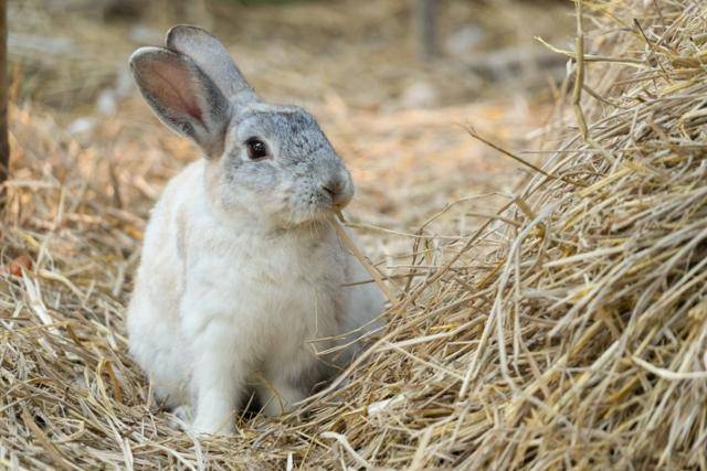 게티이미지뱅크